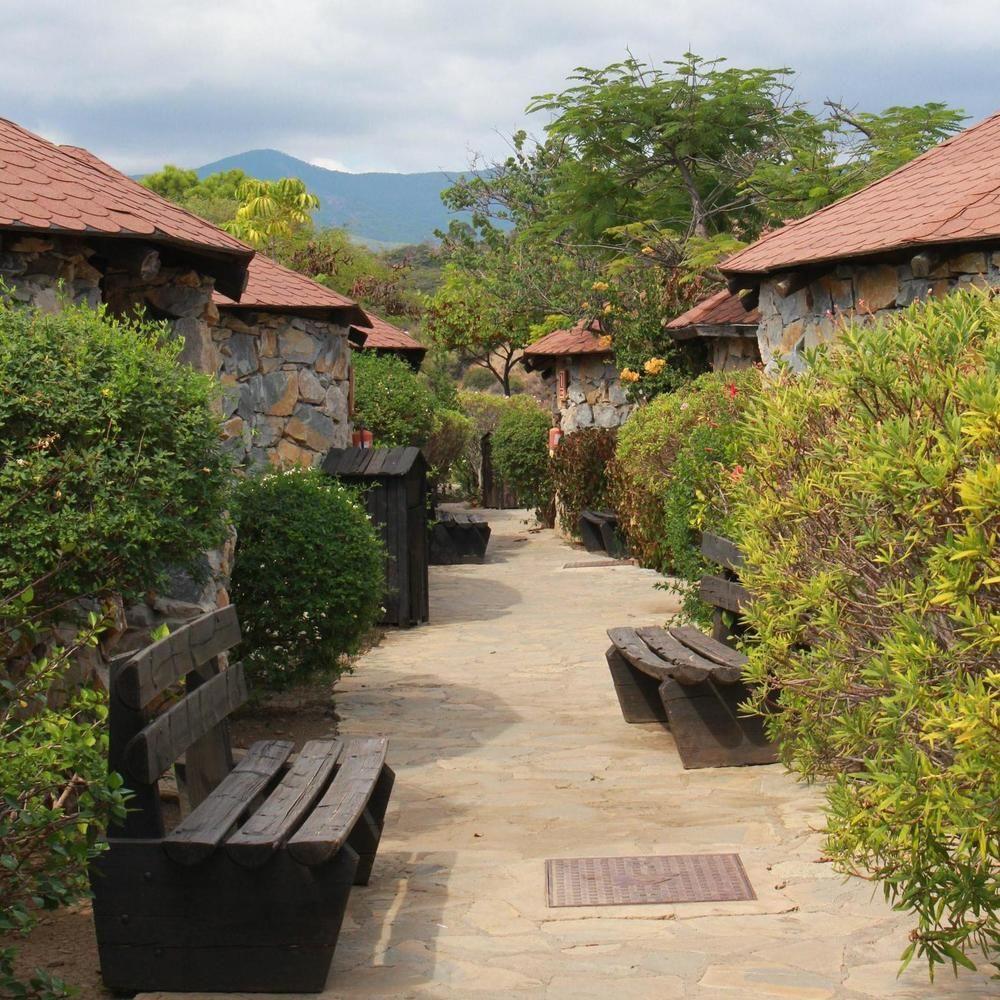 Selwo - Animal Park Tickets Included Hotel 3*