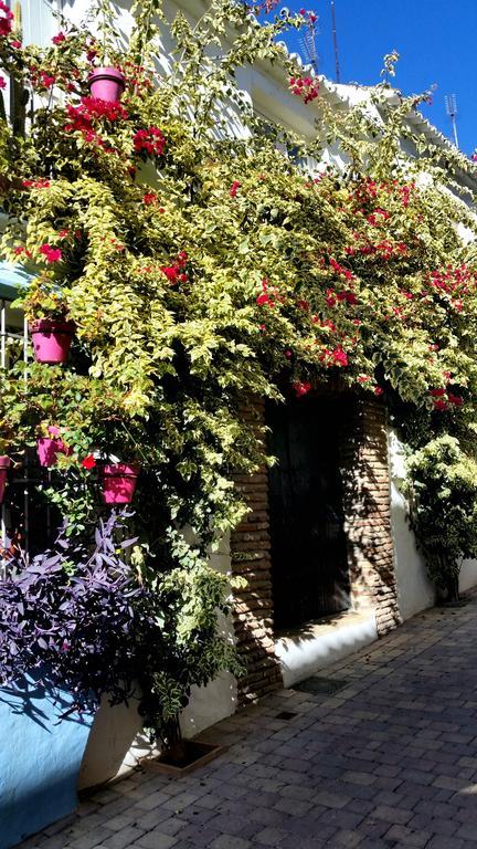 Apartment Apartamentomirada Estepona