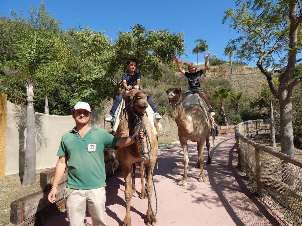 Selwo - Animal Park Tickets Included Hotel