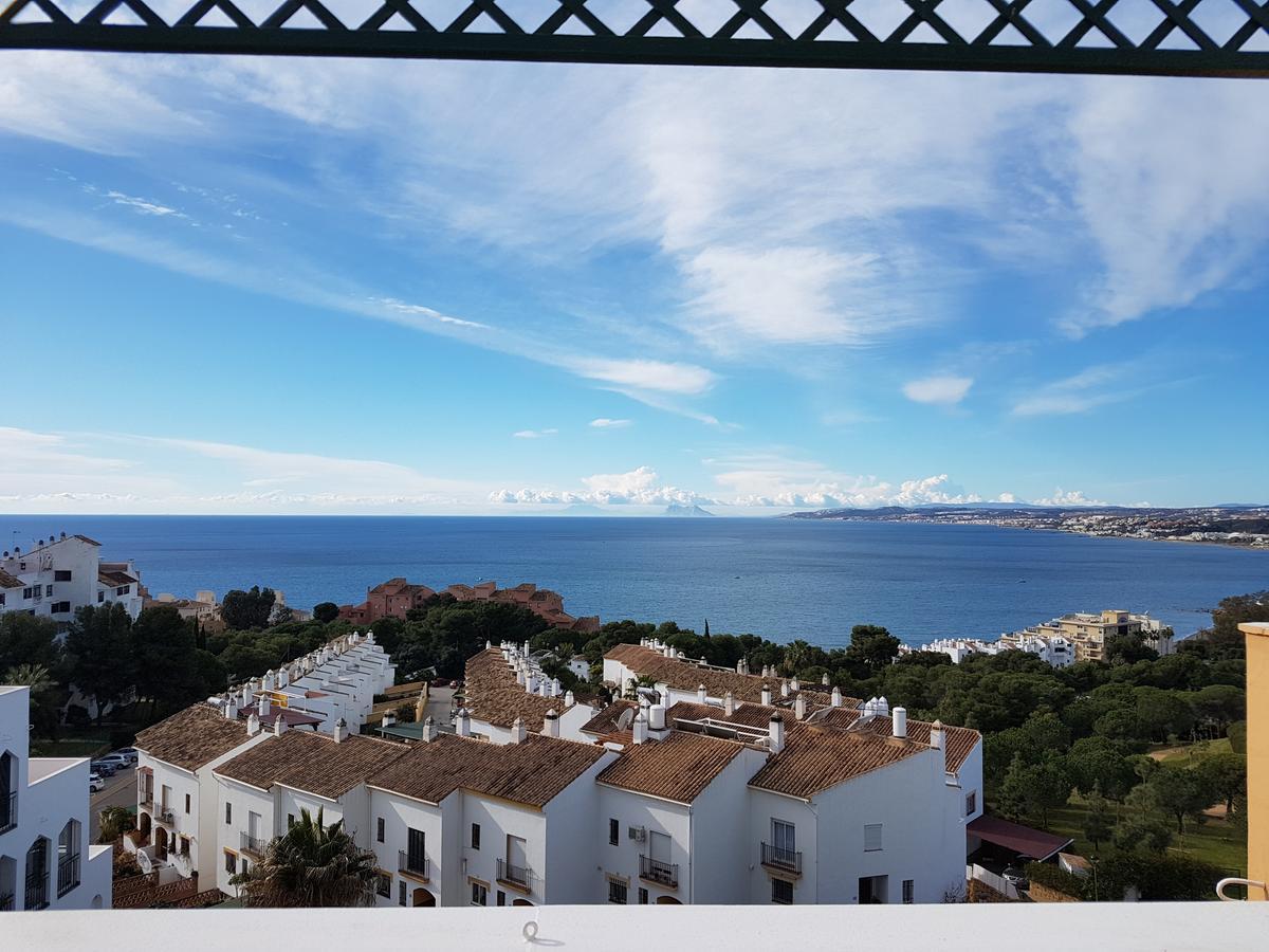 Jabeque Estepona