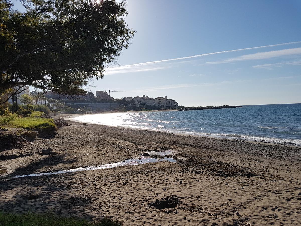 Jabeque * Estepona