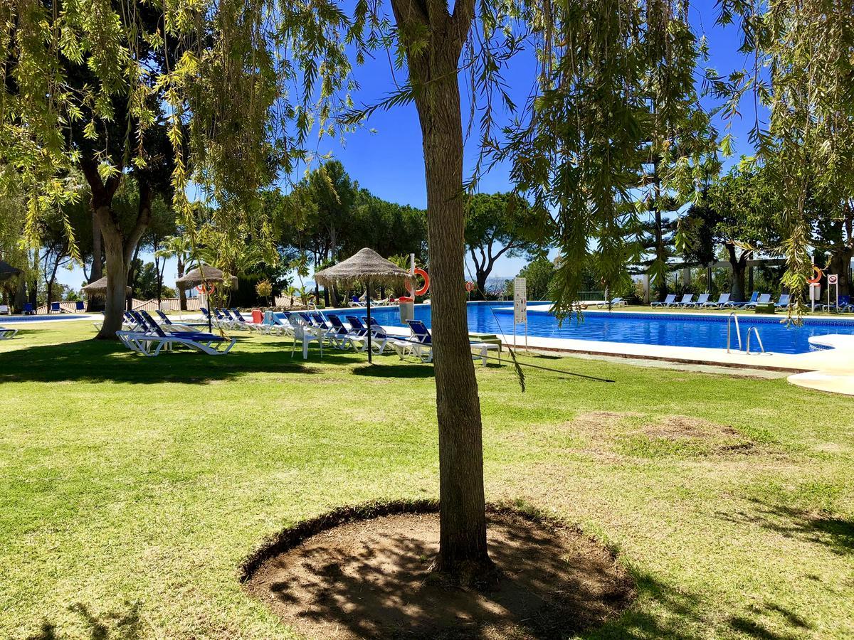 Trh Paraíso Estepona