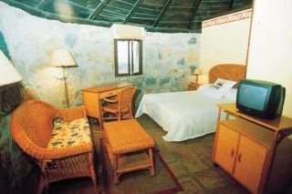 Selwo - Animal Park Tickets Included Hotel 3*
