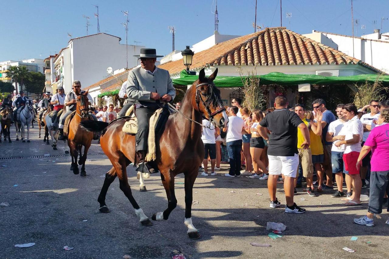 Montemayor 36