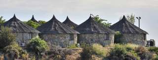 Hotel Selwo - Animal Park Tickets Included Estepona