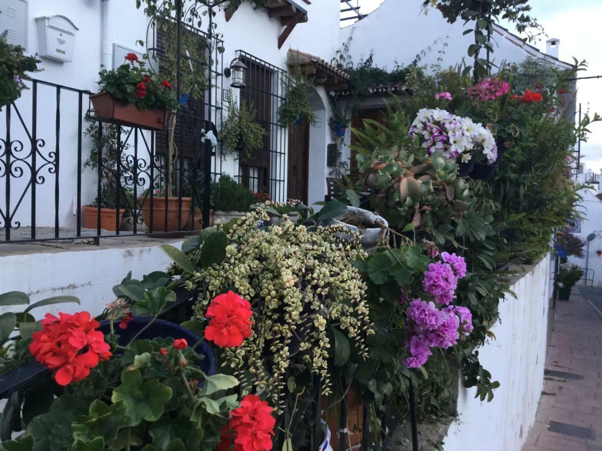 Apartment 3 Estepona