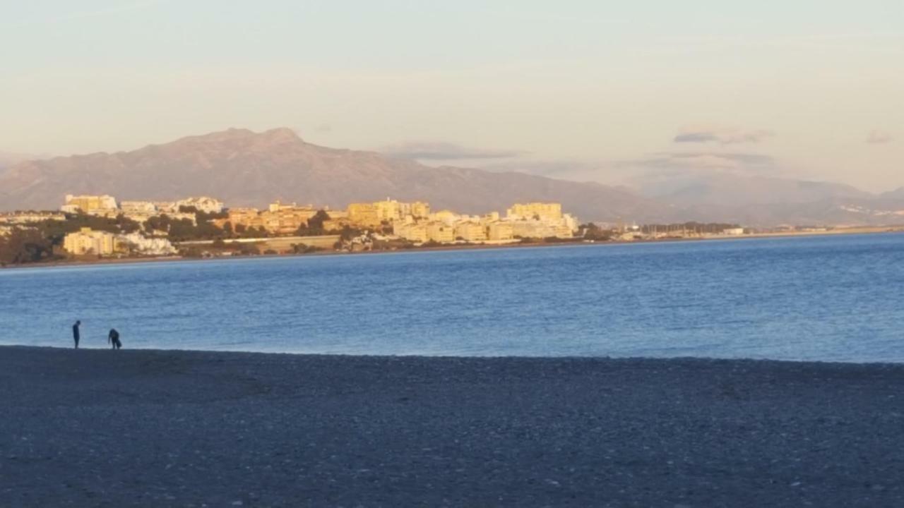 Sea Shells At Bahia Dorada Estepona