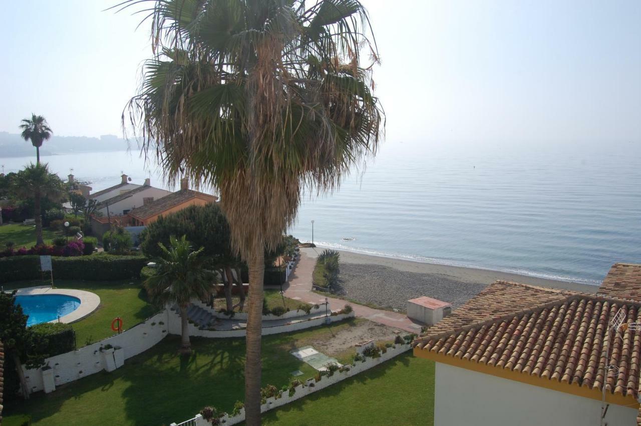 Arena * Estepona