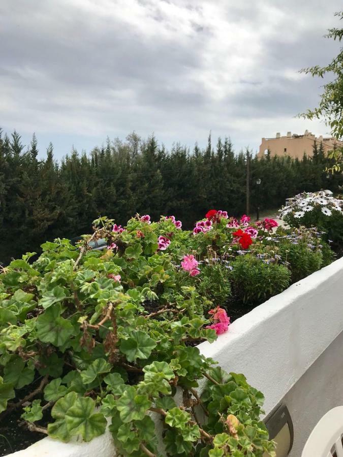 Vakantiehuis Casa Adosada En