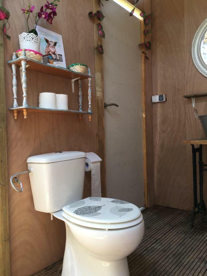 Luxury Glamping