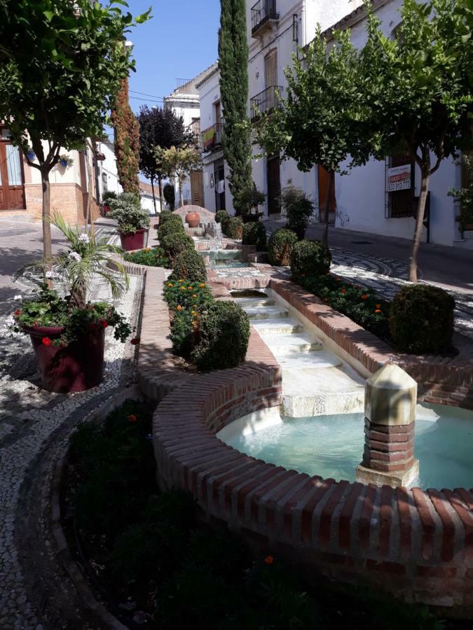 Ama Estepona