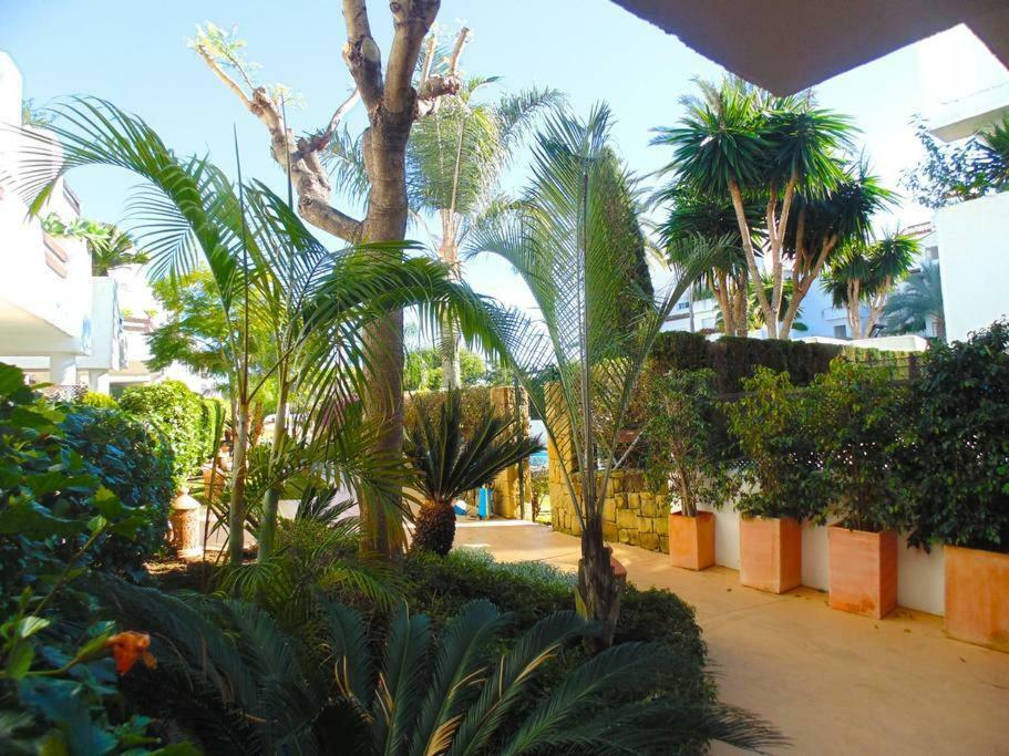 Beautiful Penthouse In A Perfect Location Apartamento *