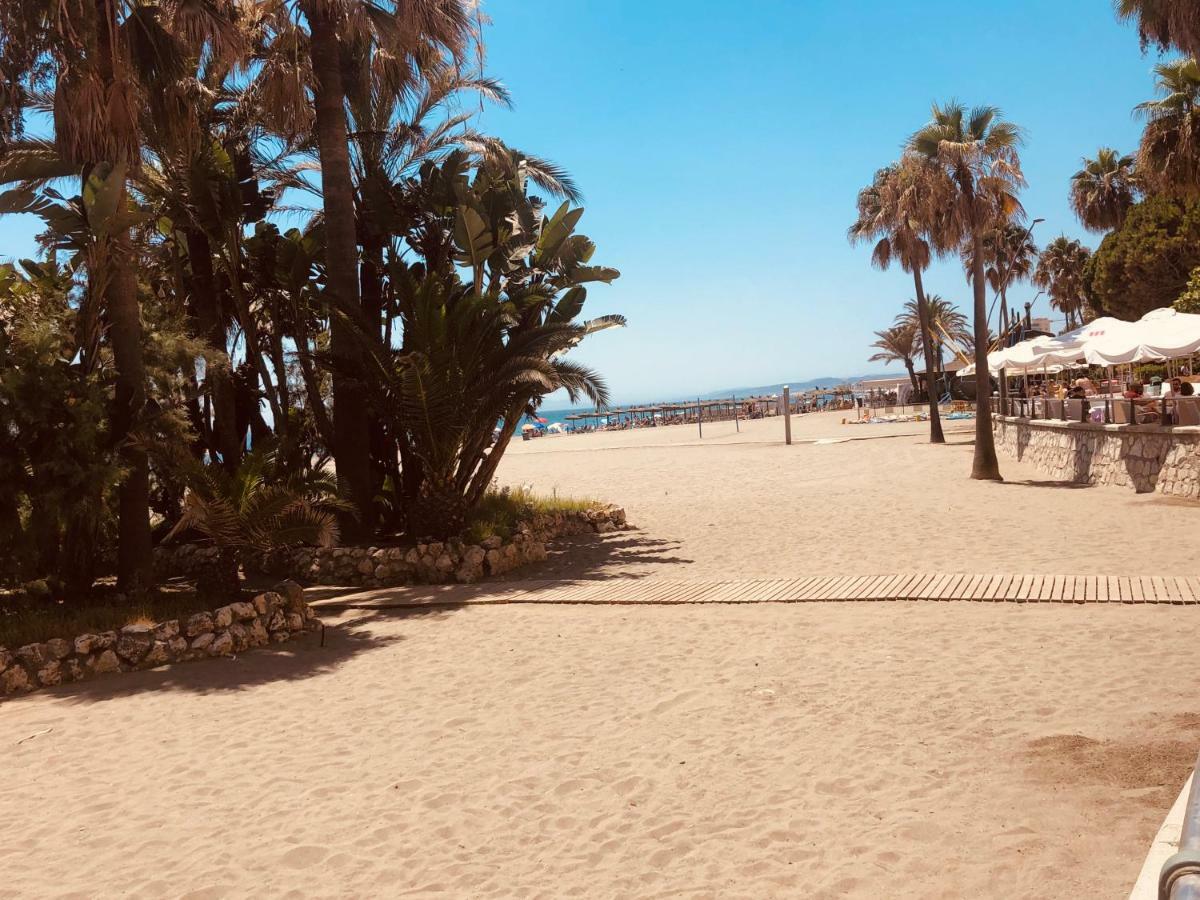 Apartamento Atico-duplex Primera Linea De Playa En El Centro De *
