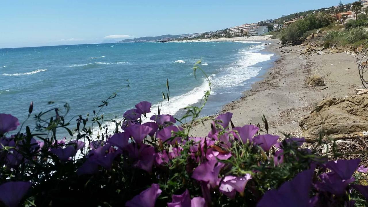 Sea Shells At Bahia Dorada Holiday home Estepona