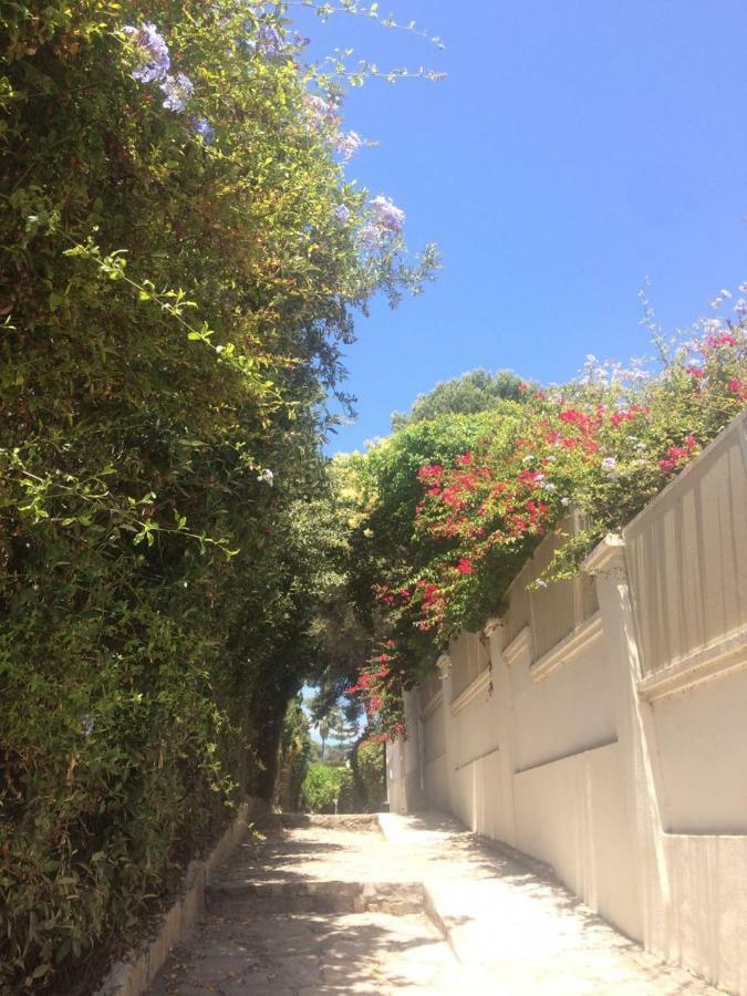 Urbanizacion Benamara Gardens Estepona