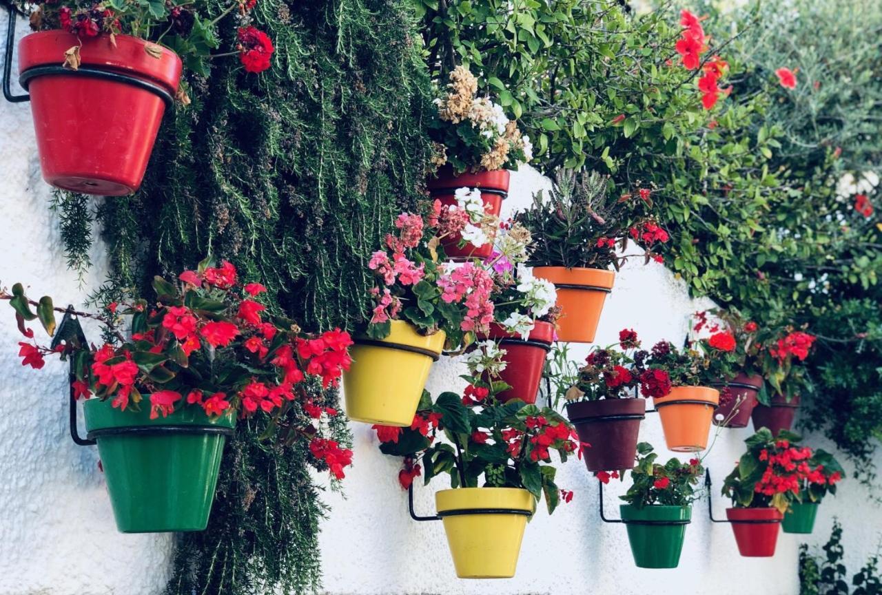 Casa De Dolores Holiday home *