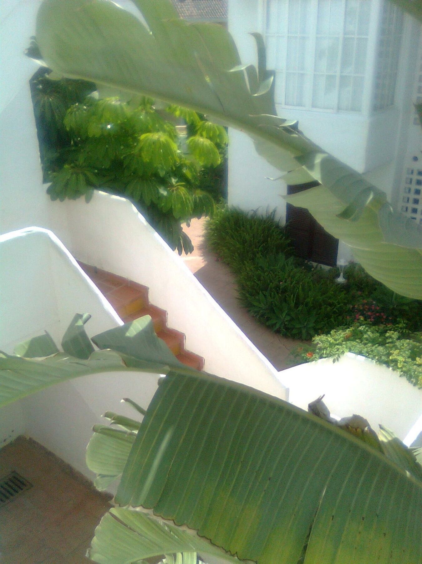 Apartment With 2 In Estepona, With Pool Access And Furnished Bal