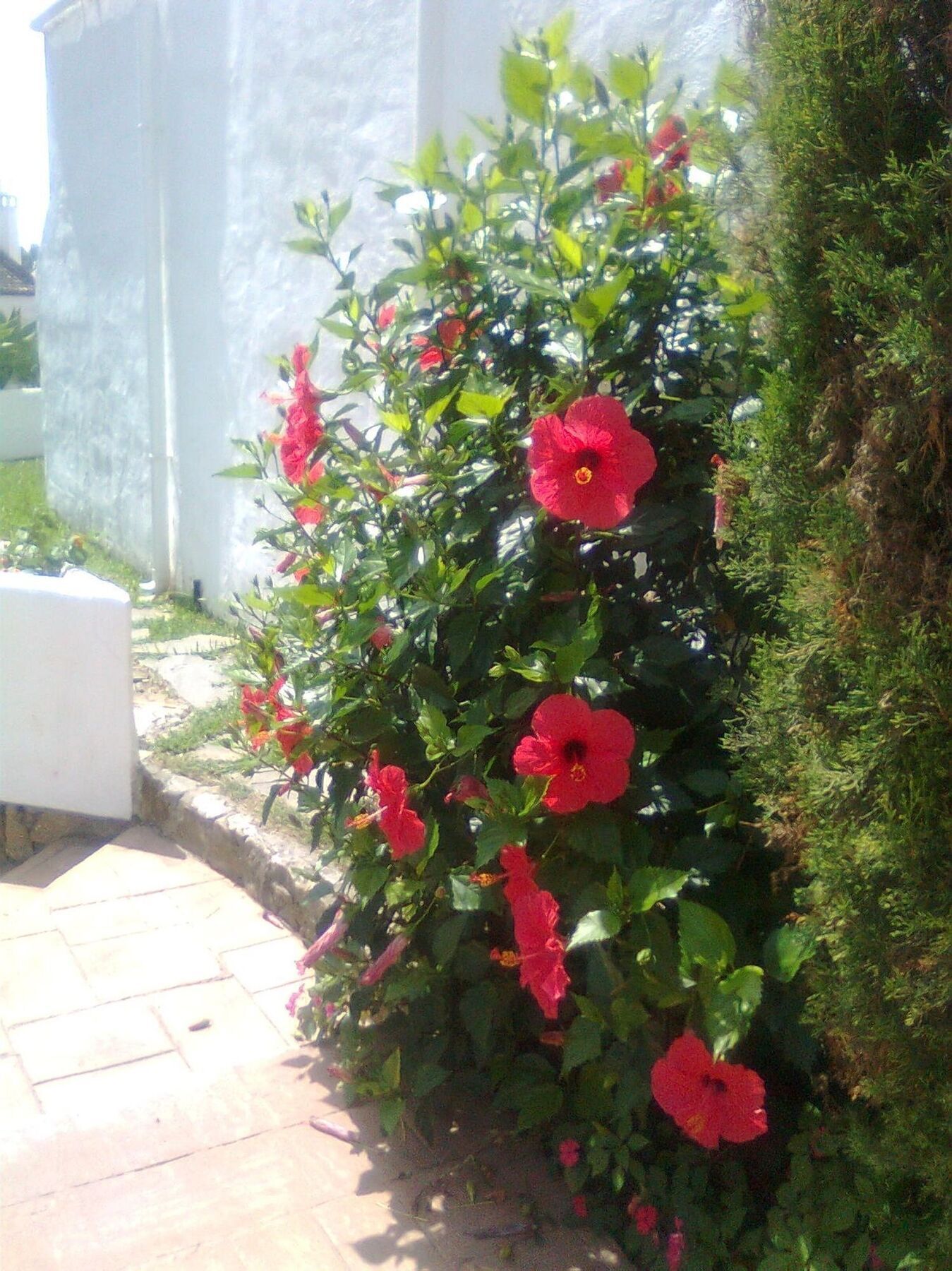 With 2 In Estepona, With Pool Access And Furnished Bal *
