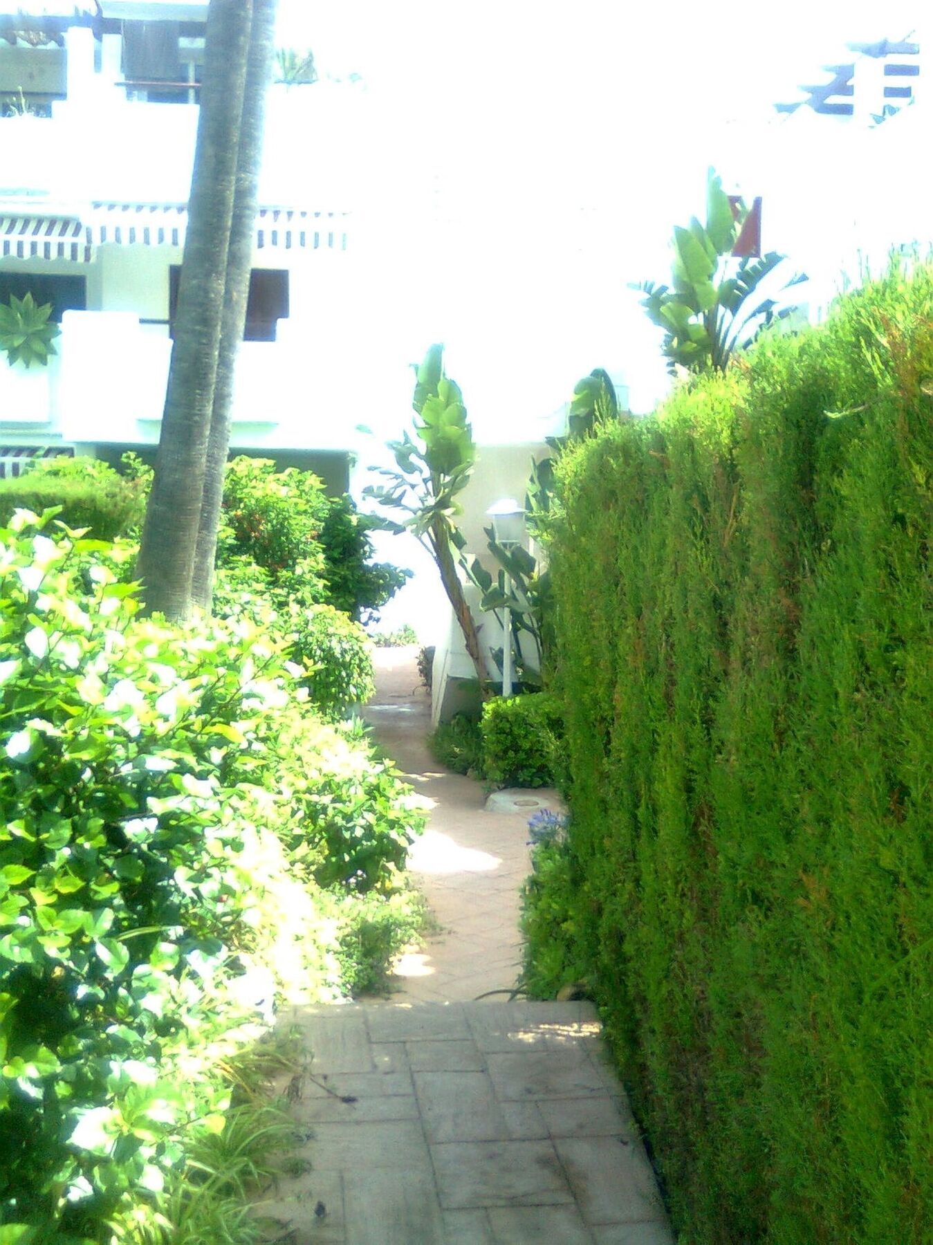 Apartment With 2 In Estepona, With Pool Access And Furnished Bal
