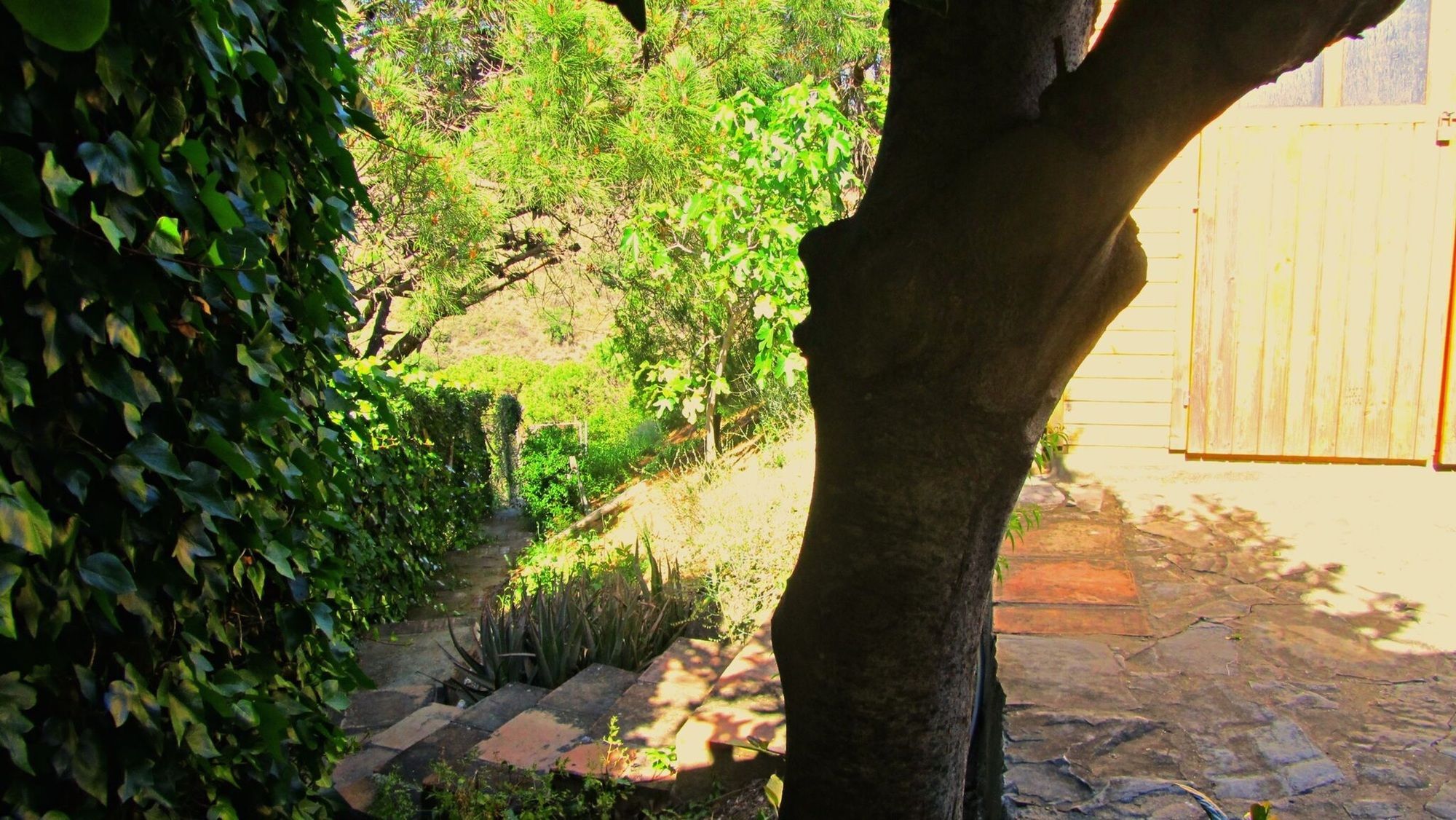 Villa With 4 In Estepona, Malaga, With Wonderful Sea View, Priva