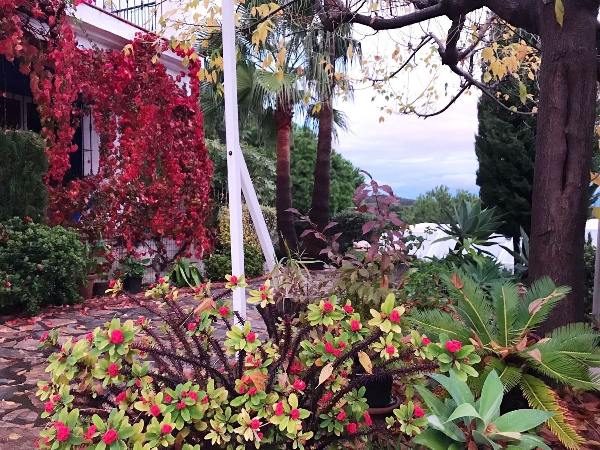 Villa With 4 In Estepona, Malaga, With Wonderful Sea View, Priva