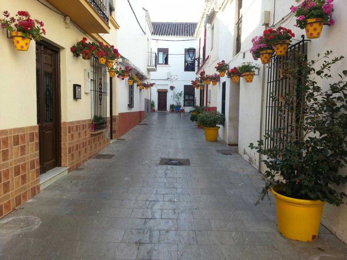 Gcprestige Estepona