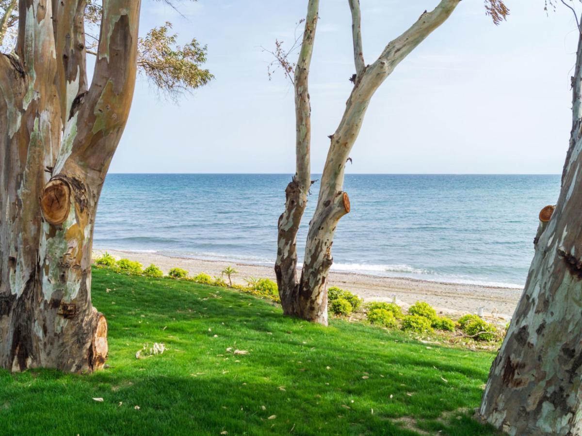 Garden By Interhome Holiday home Estepona
