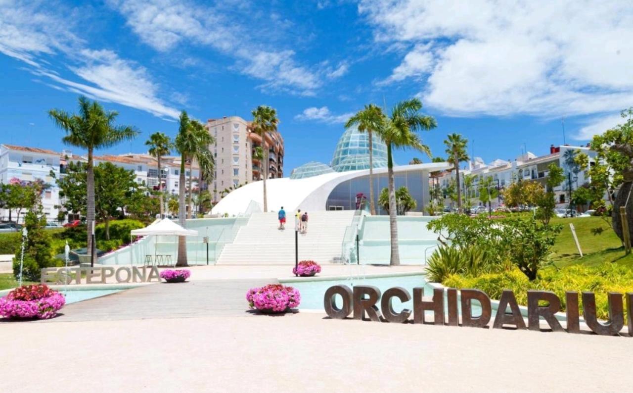 The Lol@s Center Apartment Estepona