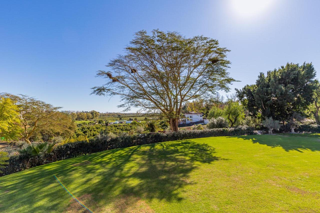 For Rent In Marbella Holiday home