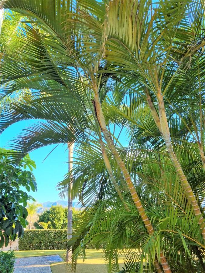 Apartment Breathtaking Apartment, Paradise Palm View Marbella
