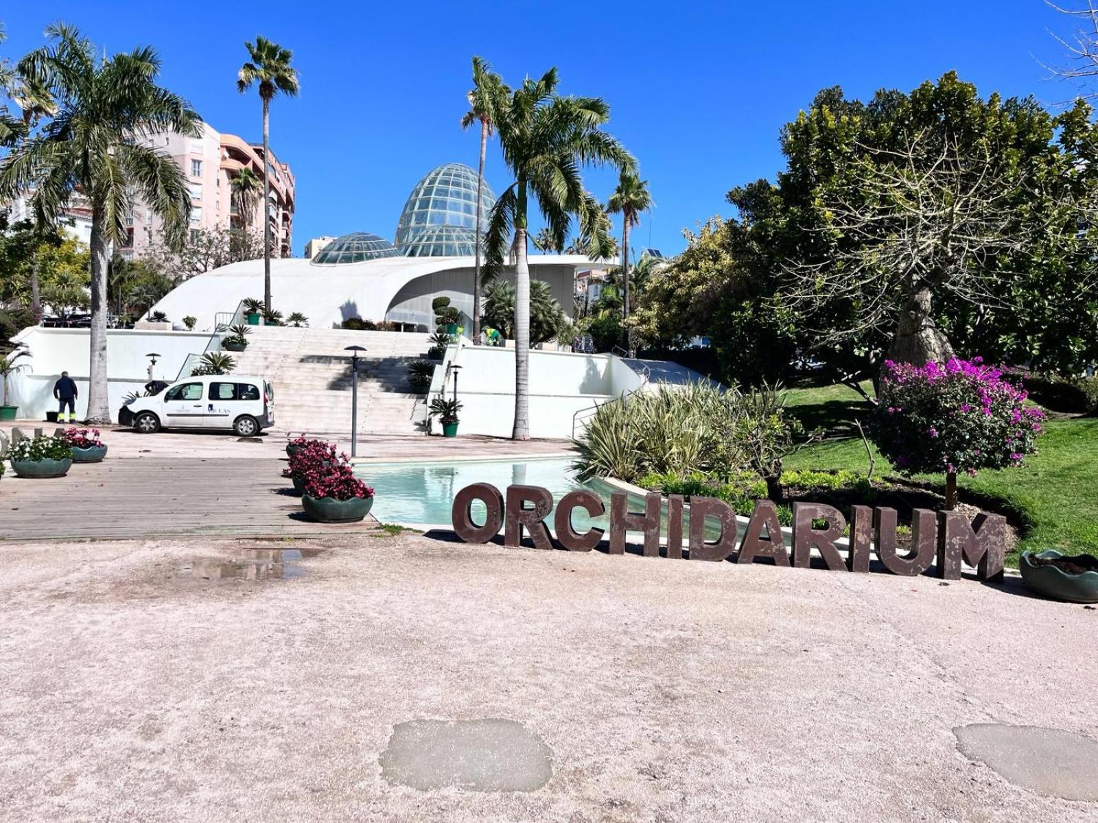 El Faro Vacaciones En *