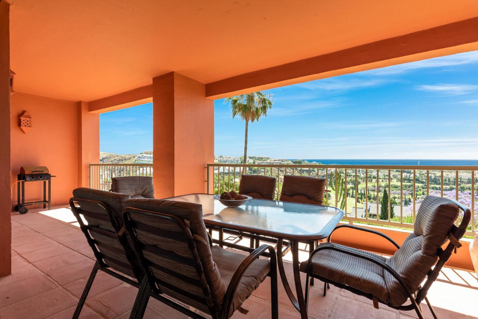 Flamingos Luxurious-royal Flamingos Estepona