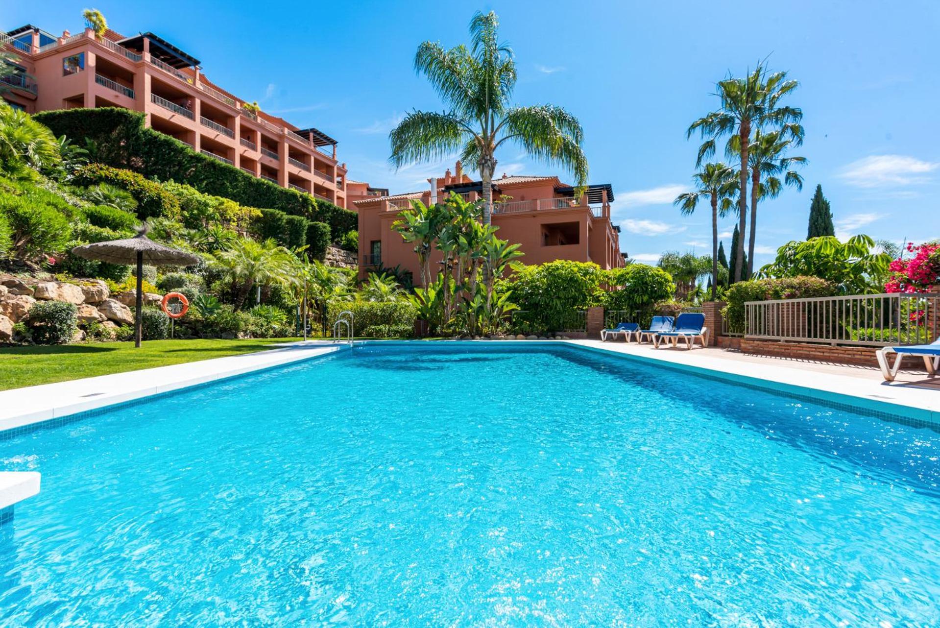 Flamingos Luxurious-royal Flamingos Estepona