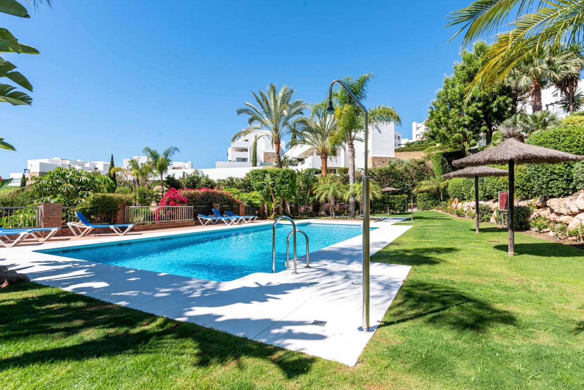 Flamingos Luxurious-royal Flamingos Estepona