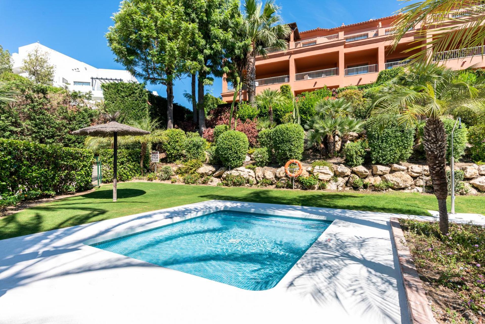 Flamingos Luxurious-royal Flamingos Estepona