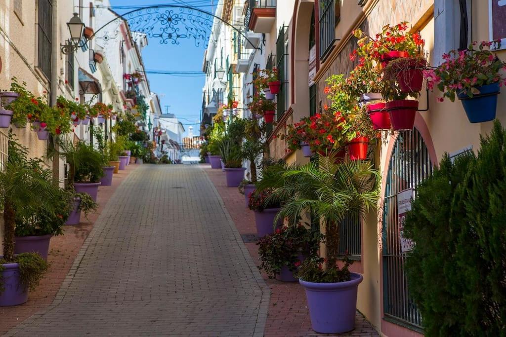 Flower Gardens *
