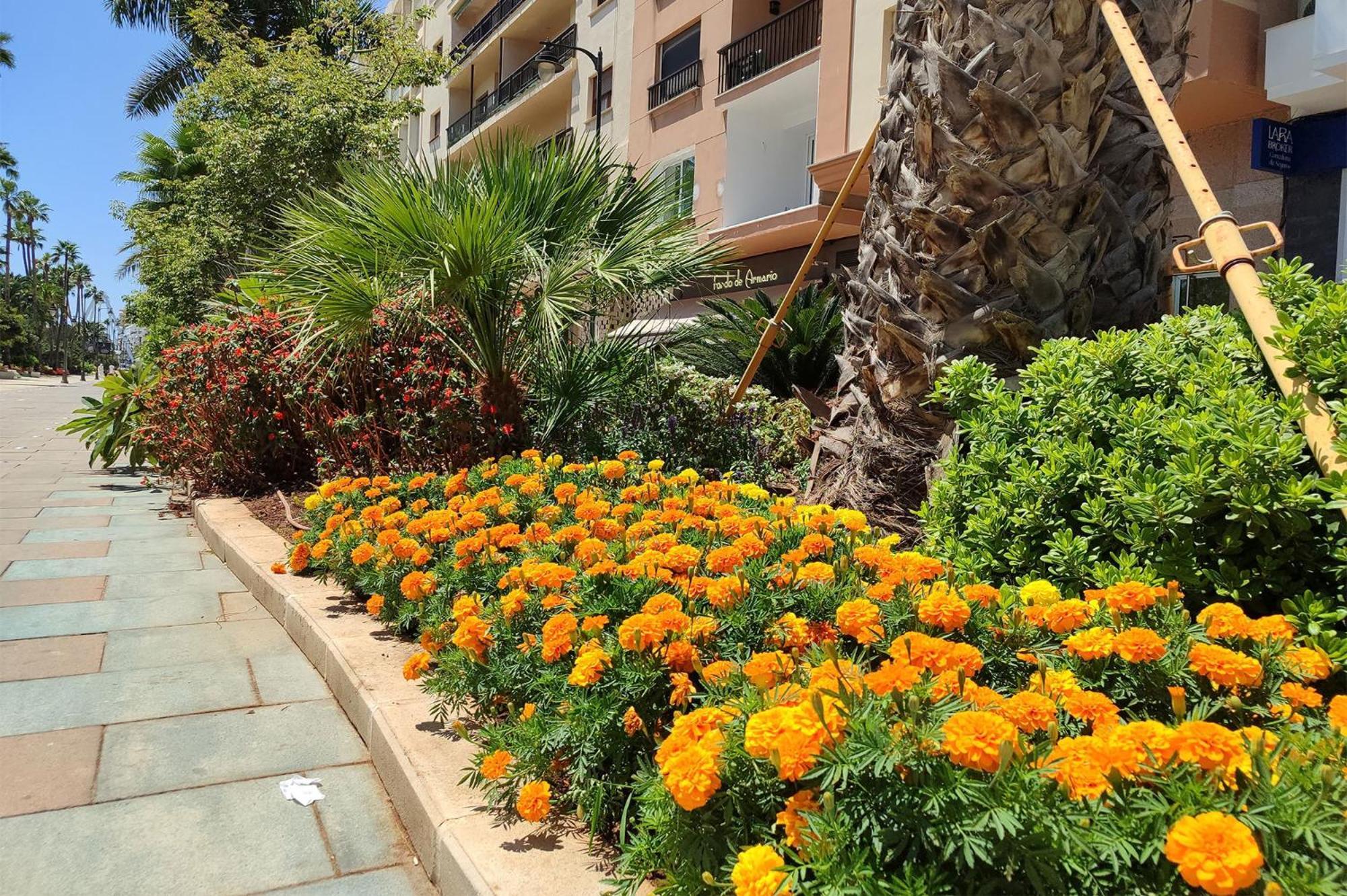 Edificio Jardin Apartamento *