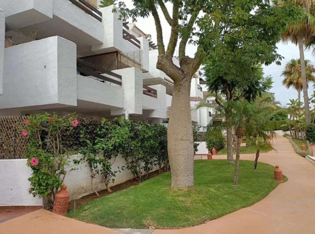 Beachside Costalita Sol - Huge Terrace & Pool Appartement