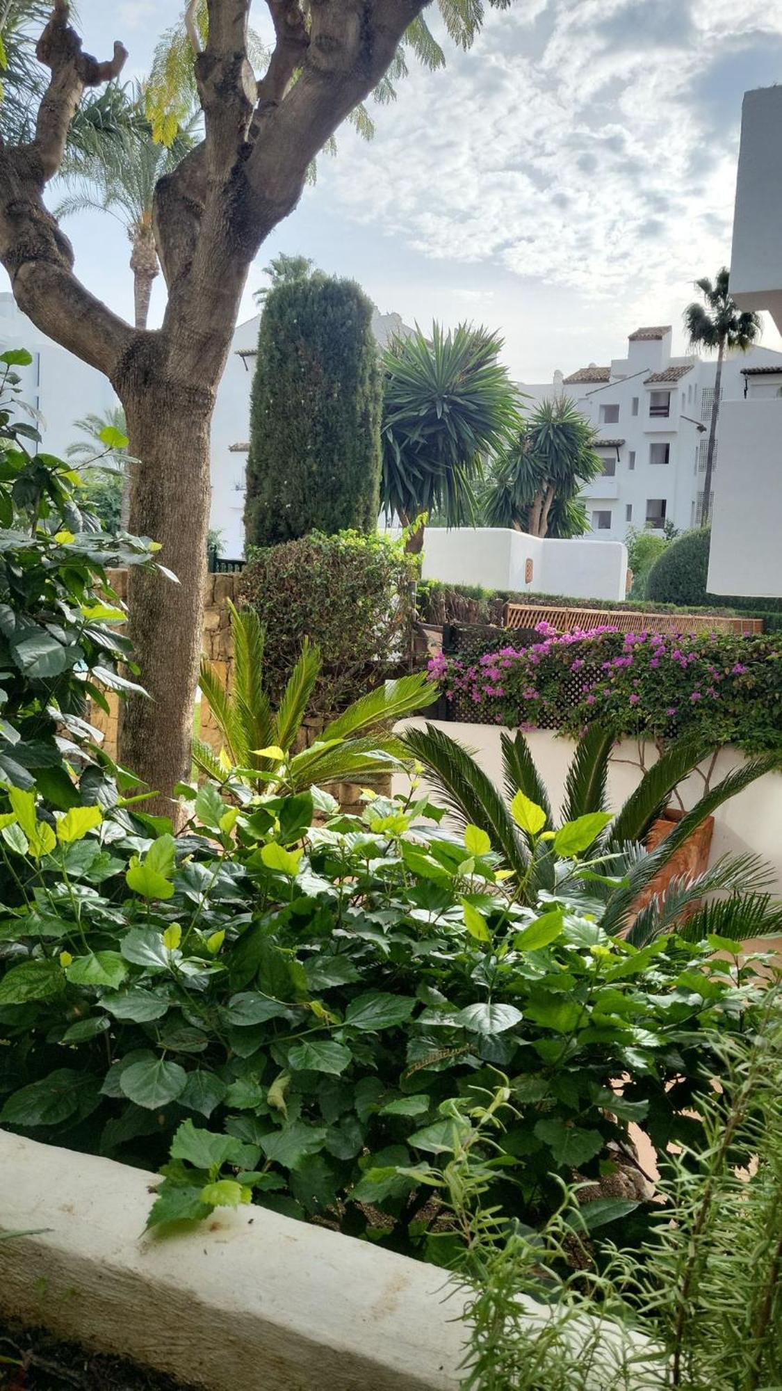 Beachside Costalita Sol - Huge Terrace & Pool Estepona