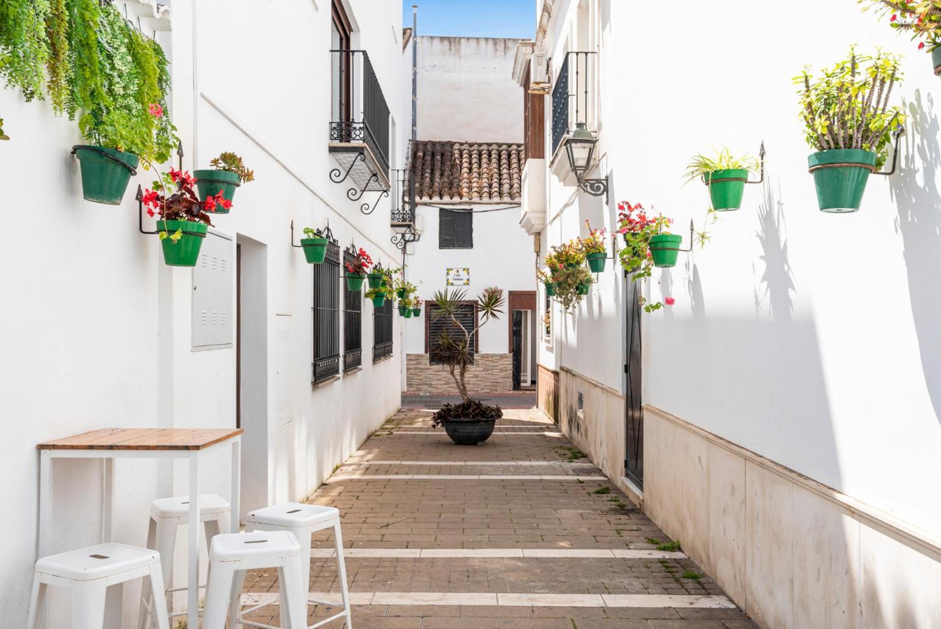 Atico En Centro De Estepona