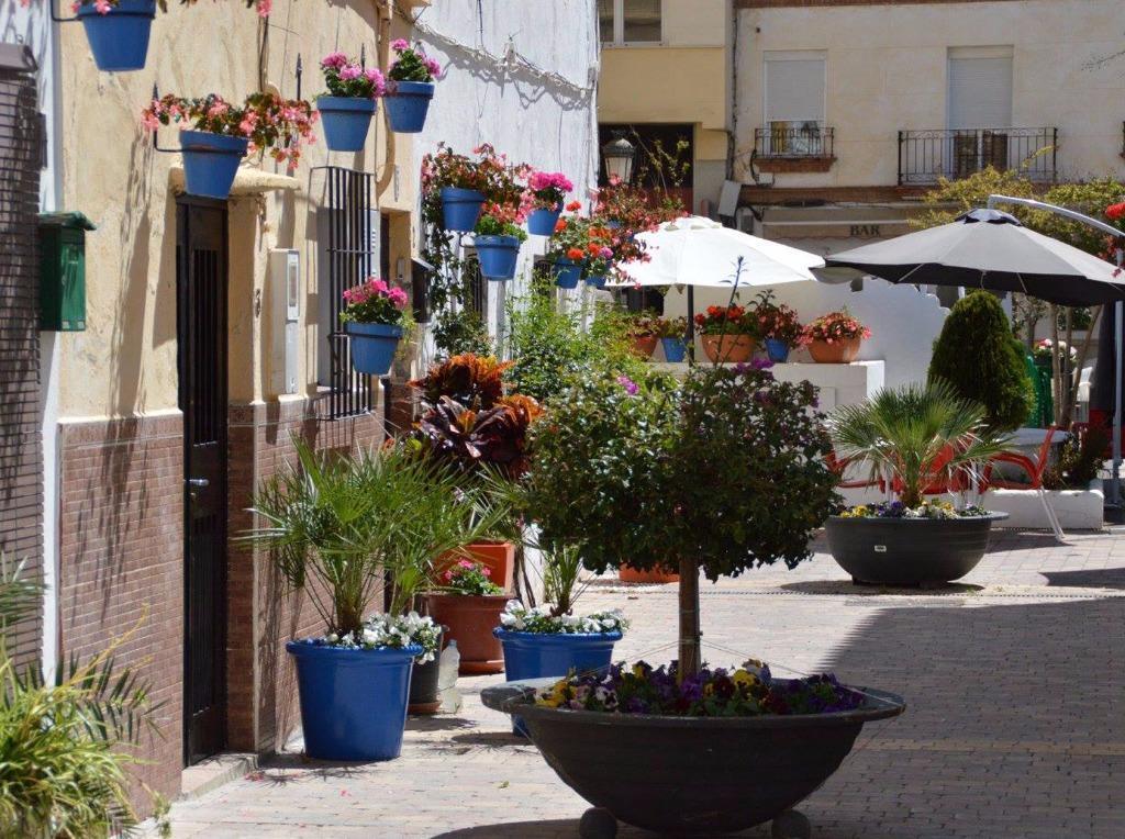 Apartamento La Galera Estepona