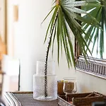 Costalita Beach Apartment