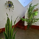 Avos