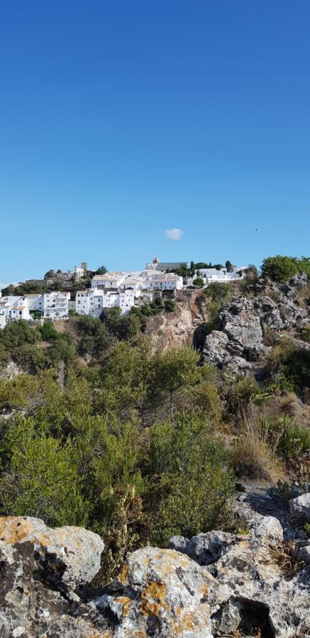Puerto Estepona