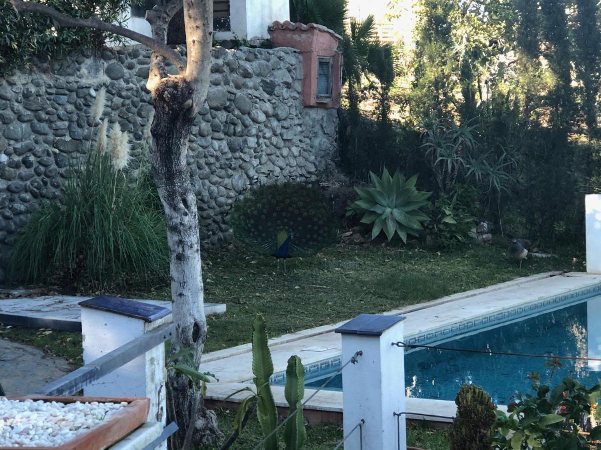 Casa de hóspedes Casa Simba (adults Only)