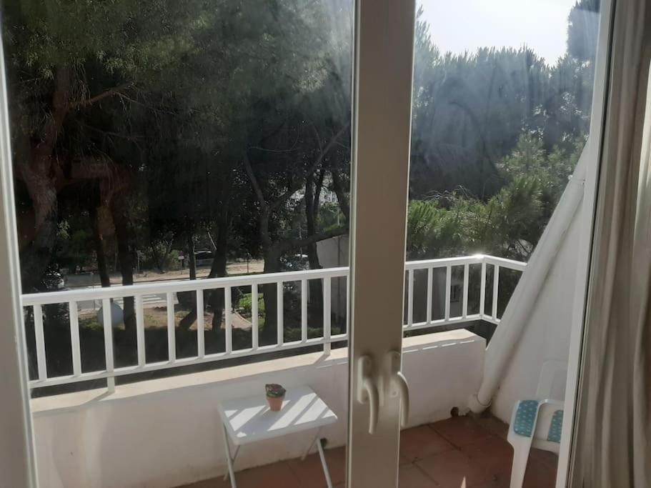 Appartement Frente A La Playa.solo Cruzar La Calle Estepona