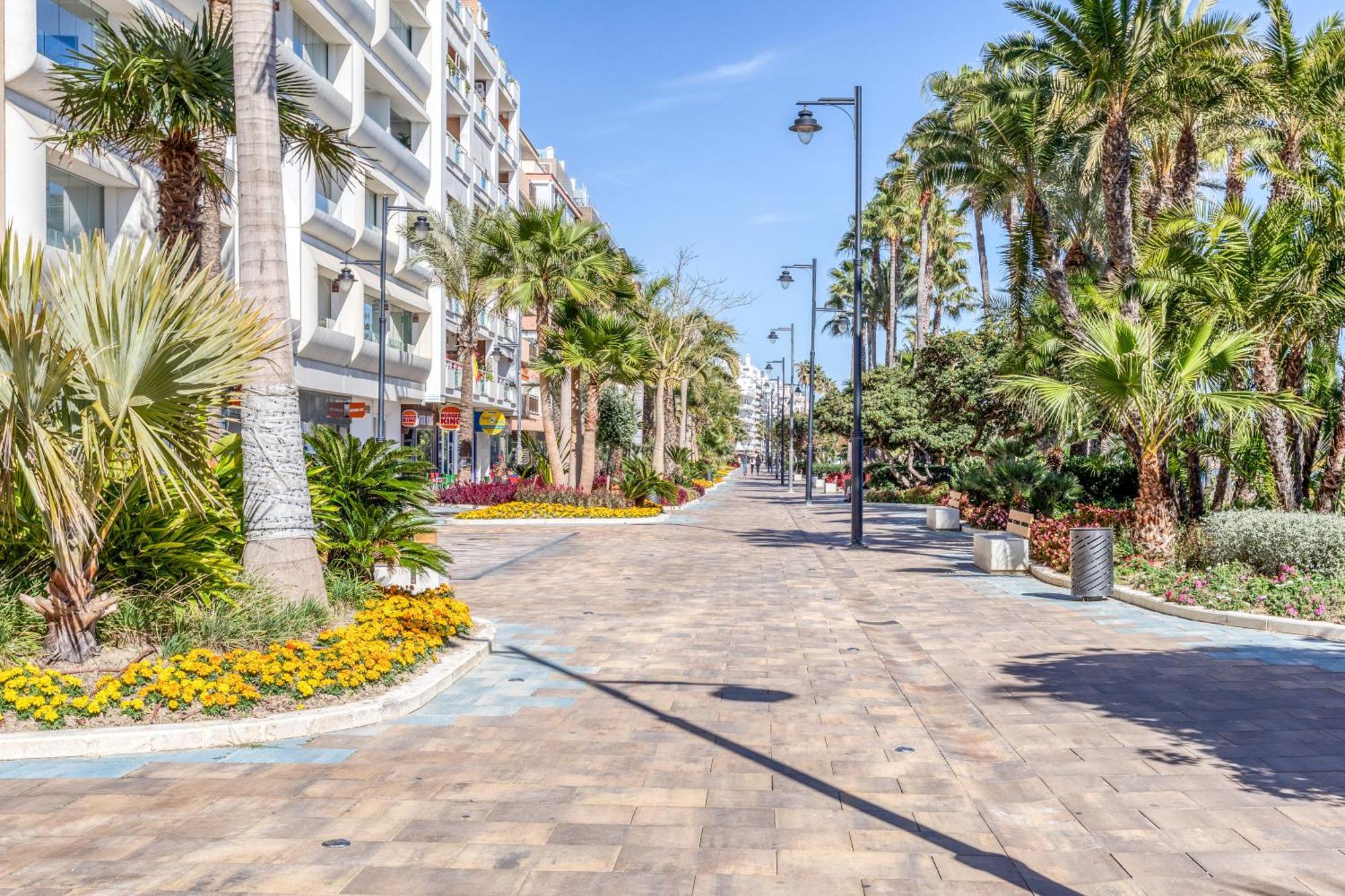 Hanami Plaza Abc Estepona