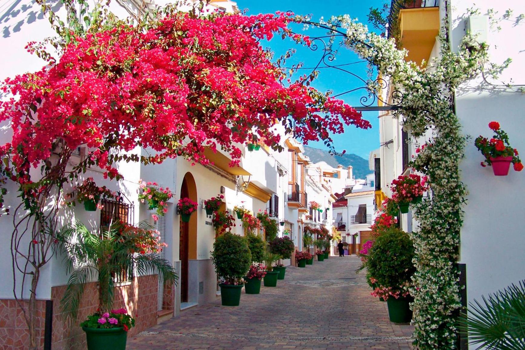 Apartamento Modern In The Heart Of - 500 Meters From The Estepona