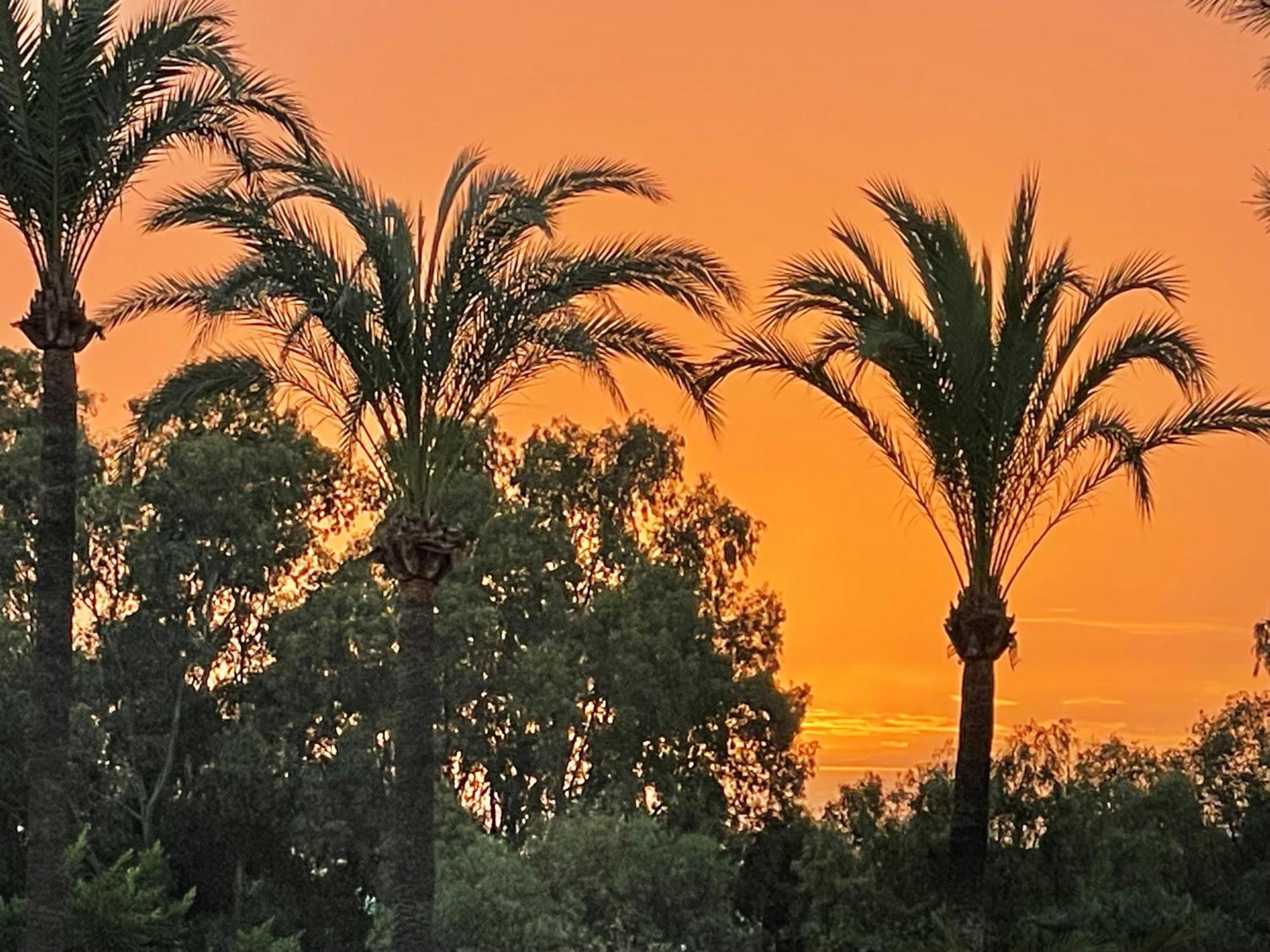 Pura Vida Pousada