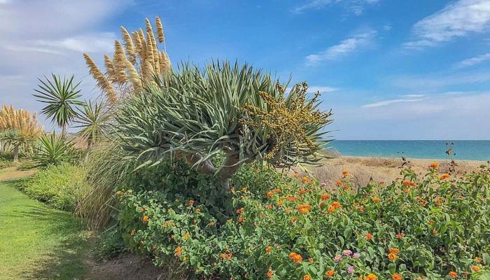 Casa de férias Three Bedroom Townhouse 100 Meters From The Beach! Estepona